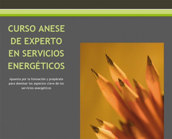 Curso ANESE de Experto en Servicios Energéticos 