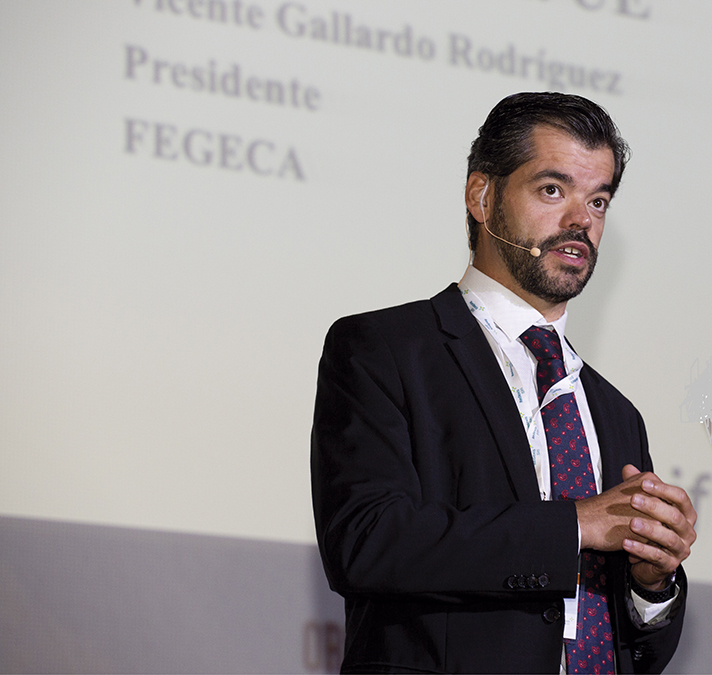 Vicente Gallardo, presidente de Fegeca