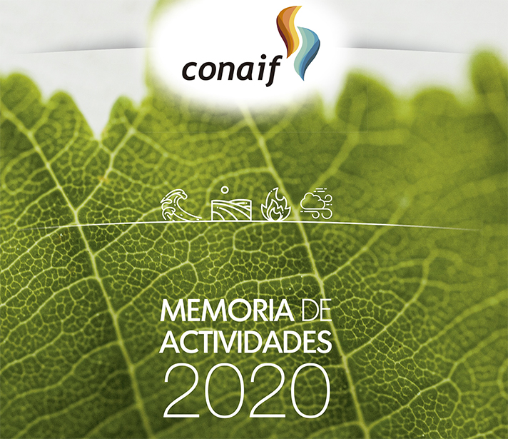 Memoria de actividades de CONAIF del ejercicio 2020