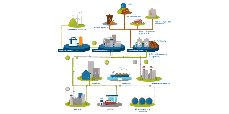 El origen del biometano es el biogás, que se genera a través de los procesos de degradación de la materia orgánica, como los residuos urbanos, agrícolas o ganaderos