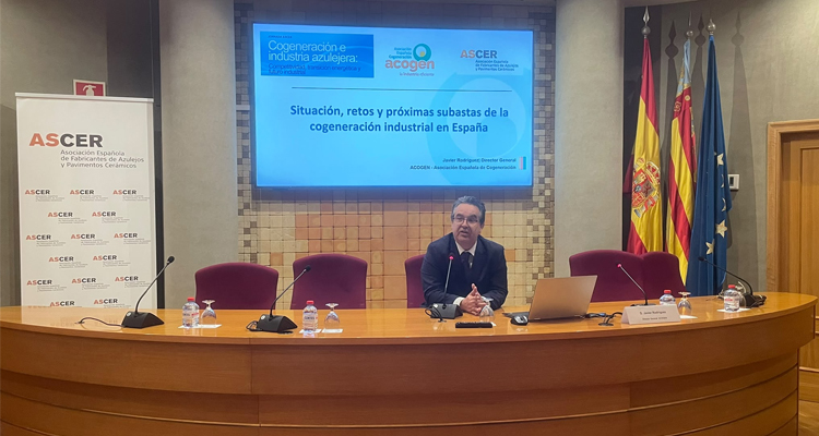 La cogeneración industrial pierde la mitad de su capacidad en España mientras espera las nuevas subastas
