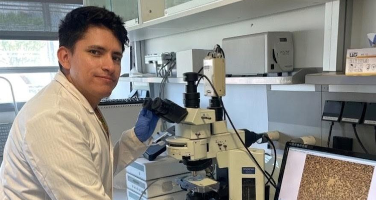 La Universidad de Huelva desarrolla un fluido térmico con parafina y sílice para ampliar el almacenamiento de calor
