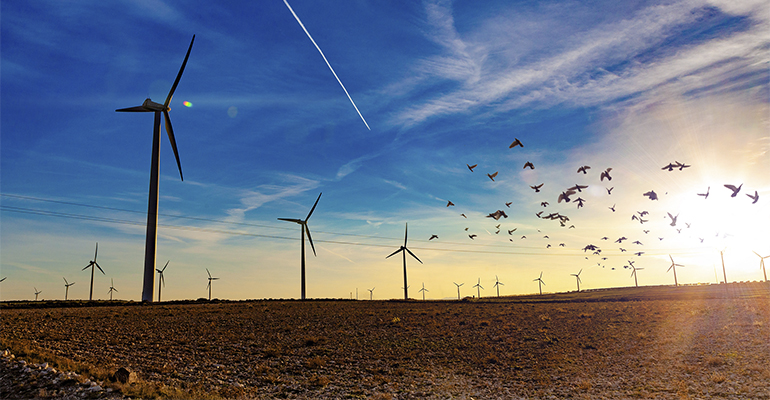 La minieólica gana peso en la generación distribuida y apunta a liderazgo de España en Europa